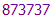 873737