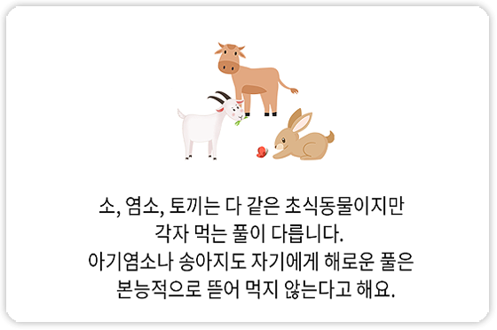사람이나 동물이나 먹는 풀(음식)의 종류에 따라 건강해지느냐 병이 되느냐의 차이를 냅니다.