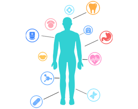 인체 예시 사진