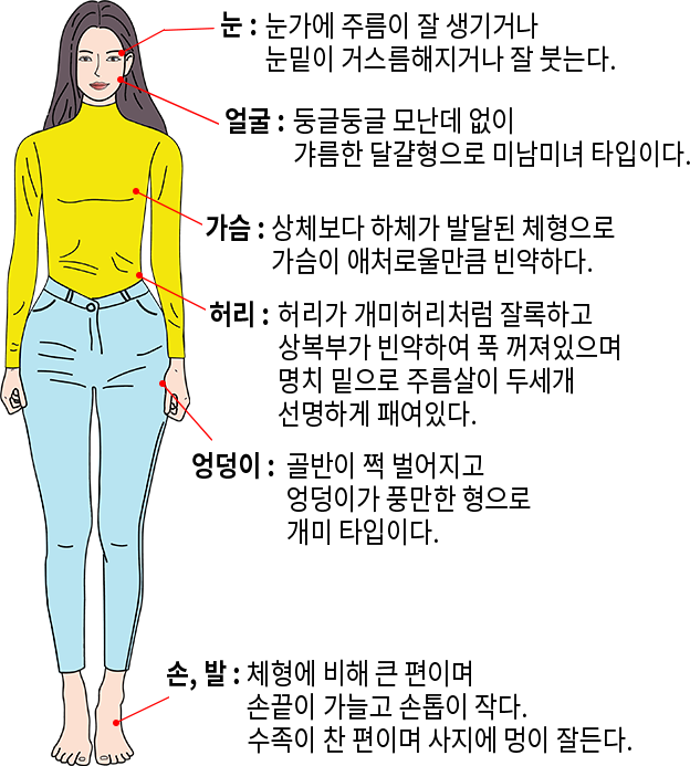 눈 : 눈가에 주름이 잘 생기거나 눈밑이 거스름해지거나 잘 붓는다. 얼굴 : 둥글둥글 모난데 없이 갸름한 달걀형으로 미남미녀 타입니다. 가슴 : 상체보다 하체가 발달된 체형으로 가슴이 애처로울만큼 빈약하다. 허리 : 허리가 개미허리처럼 잘록하고 상복부가 빈약하여 푹 꺼져있으며 명치 및으로 주름살이 두세개 선명하게 패여있다. 엉덩이 : 골반이 쩍 벌어지고 엉덩이가 풍만한 형으로 개미 타입니다. 손, 발 : 체형에 비해 큰 편이며 손끝이 가늘고 손톱이 작다. 수족이 찬 편이며 사지에 멍이 잘 든다.