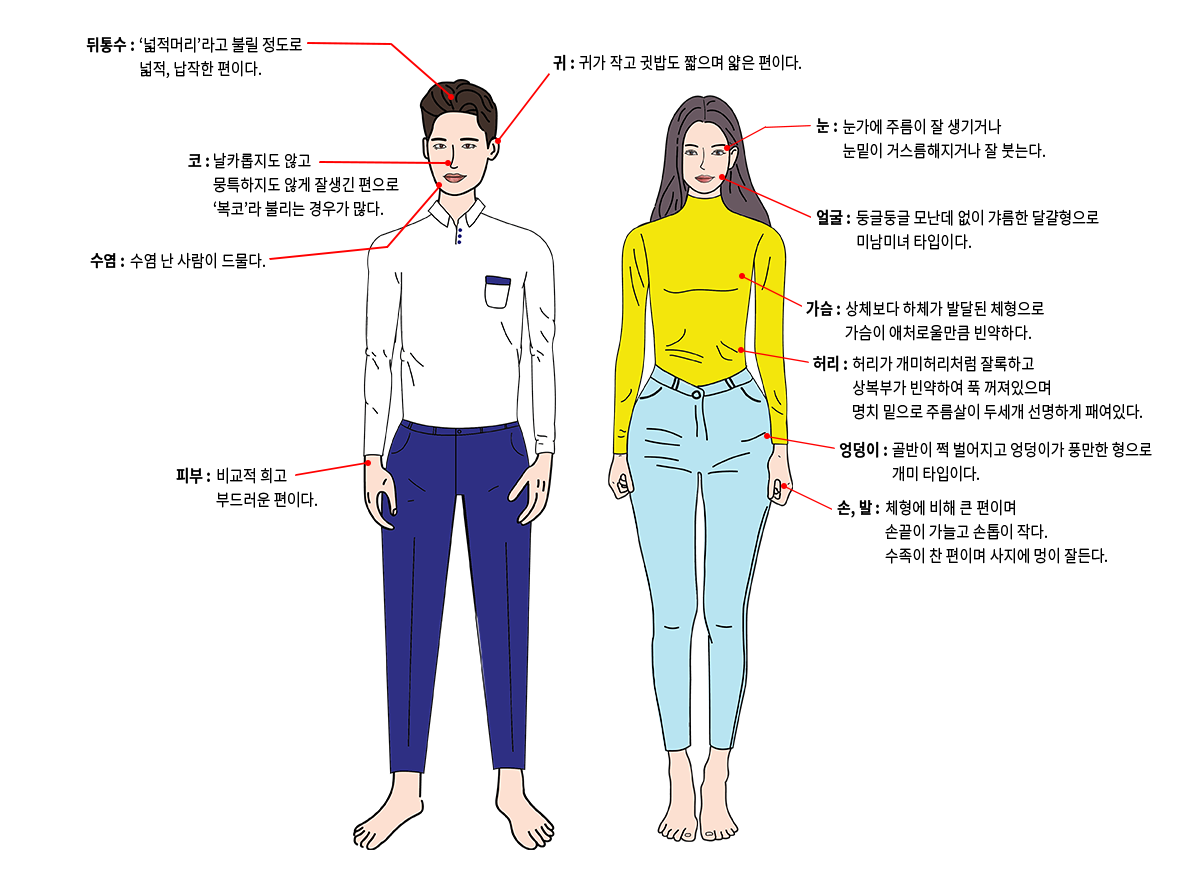 뒤통수 : 넓적머리라고 불릴 정도로 넓적, 납작한 편이다. 귀 : 귀가 작고 귓밥도 짧으며 얇은 편이다. 코 : 날카롭지도 않고 뭉특하지도 않게 잘생긴 편으로 복코라 불리는 경우가 많다. 수염 : 수염 난 사람이 드물다. 피부 : 비교적 희고 부드러운 편이다. 눈 : 눈가에 주름이 잘 생기거나 눈밑이 거스름해지거나 잘 붓는다. 얼굴 : 둥글둥글 모난데 없이 갸름한 달걀형으로 미남미녀 타입니다. 가슴 : 상체보다 하체가 발달된 체형으로 가슴이 애처로울만큼 빈약하다. 허리 : 허리가 개미허리처럼 잘록하고 상복부가 빈약하여 푹 꺼져있으며 명치 및으로 주름살이 두세개 선명하게 패여있다. 엉덩이 : 골반이 쩍 벌어지고 엉덩이가 풍만한 형으로 개미 타입니다. 손, 발 : 체형에 비해 큰 편이며 손끝이 가늘고 손톱이 작다. 수족이 찬 편이며 사지에 멍이 잘 든다.